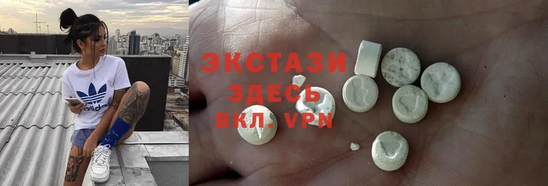 Ecstasy Philipp Plein  блэк спрут ссылки  Бологое 